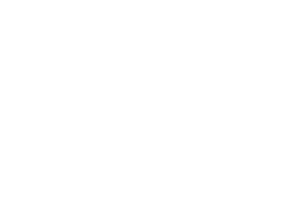 NGO Icon
